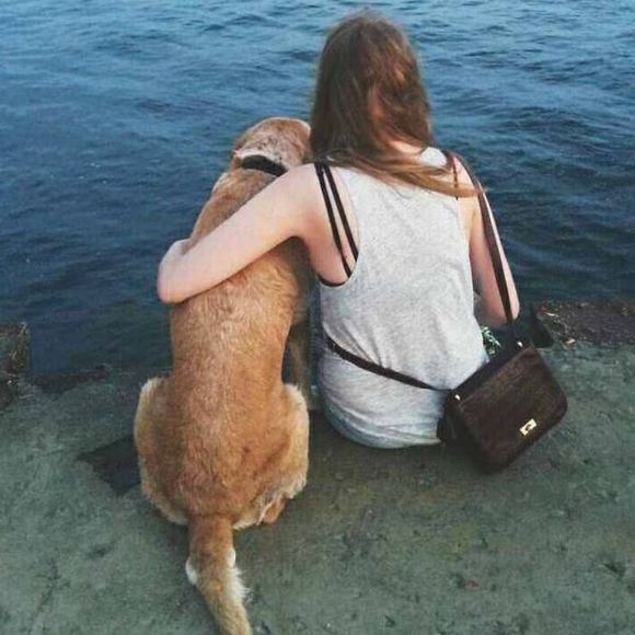 Meet your Posher, Sydney - Picture 1 of 1